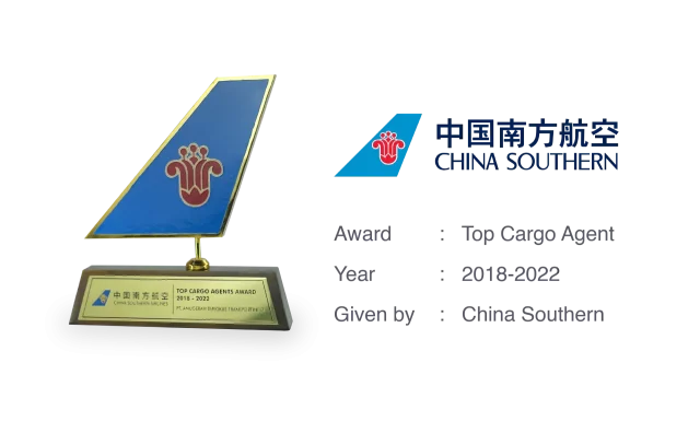 China Southern Award